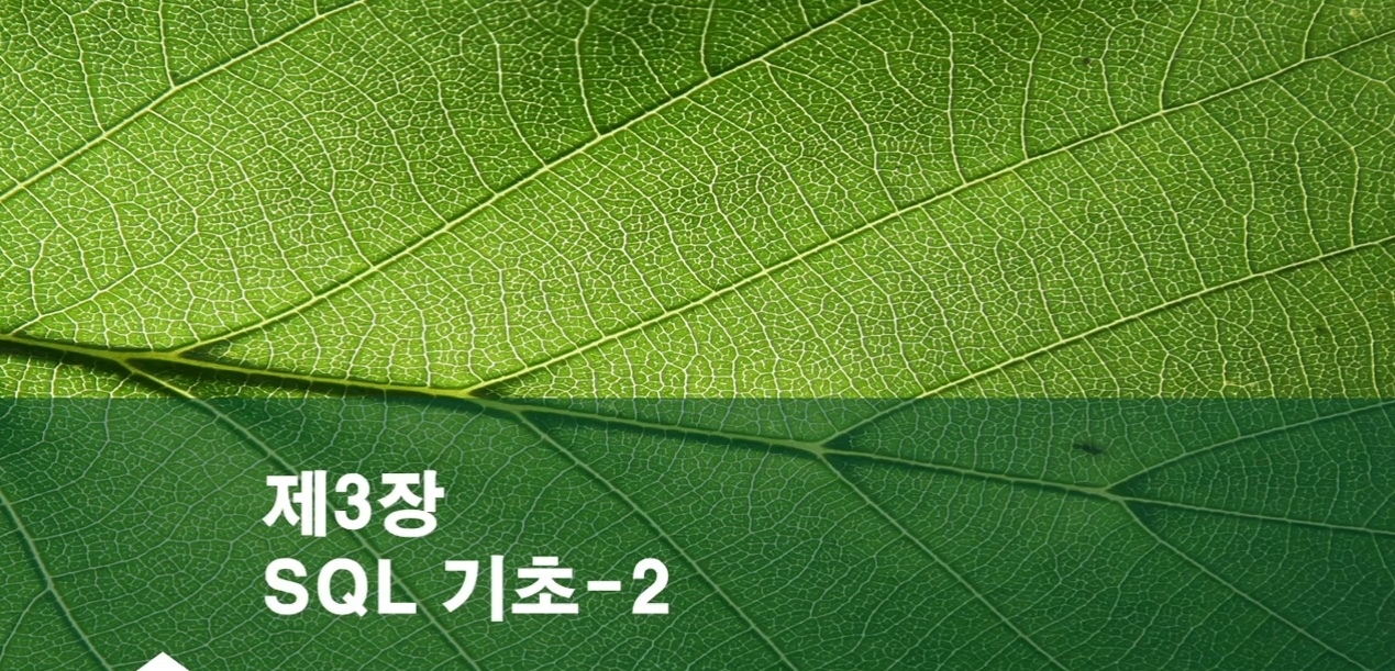 교육과정사진